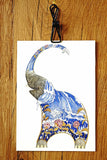 The DMCollection - Wildtiere